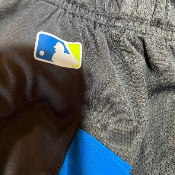 Nike Baseball shorts, black & blue men's size L - Picture 3 of 9